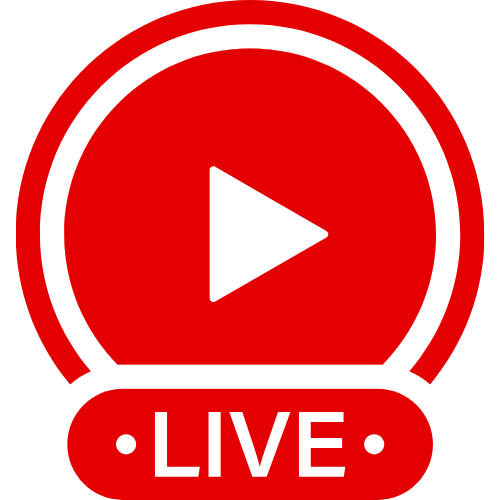 Bdsm Piggy | Live Webcam Shows & Interactive Adult Entertainment